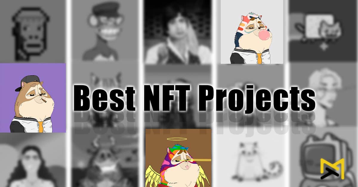 Best New Nft Projects